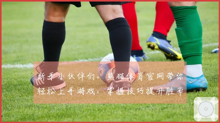 新手小伙伴们,熊猫体育官网带你轻松上手游戏,掌握技巧提升胜率!