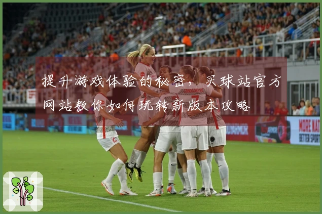 提升游戏体验的秘密，买球站官方网站教你如何玩转新版本攻略